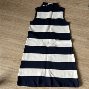 Zara Knit Navy and White Striped dress size small